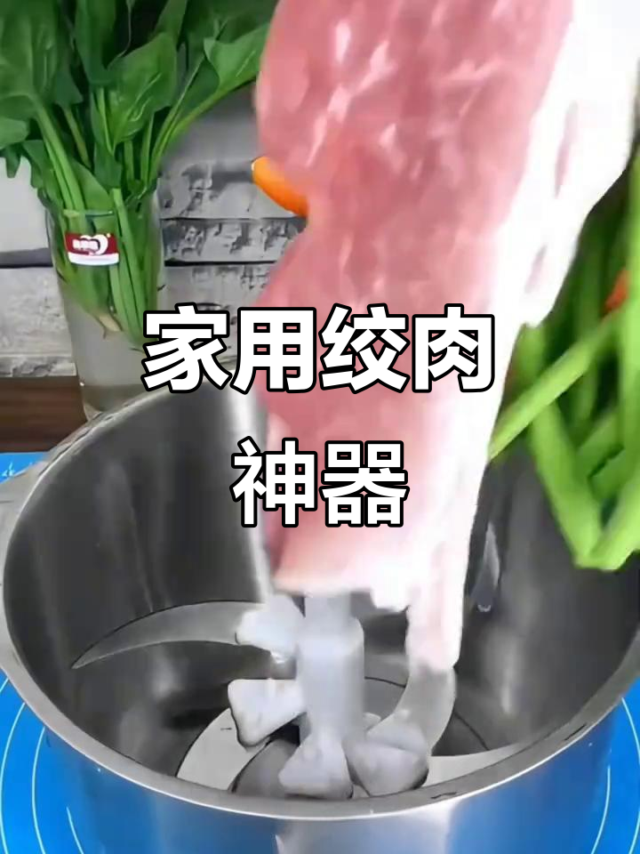 2.5升家用绞肉机,玻璃罩设计,轻松打馅蒜蓉
