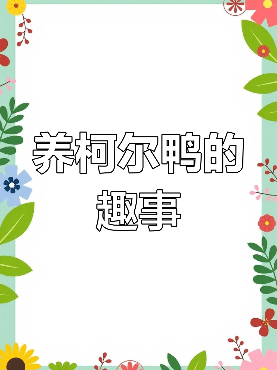 大学生养柯尔鸭的日常,训练方式超有趣