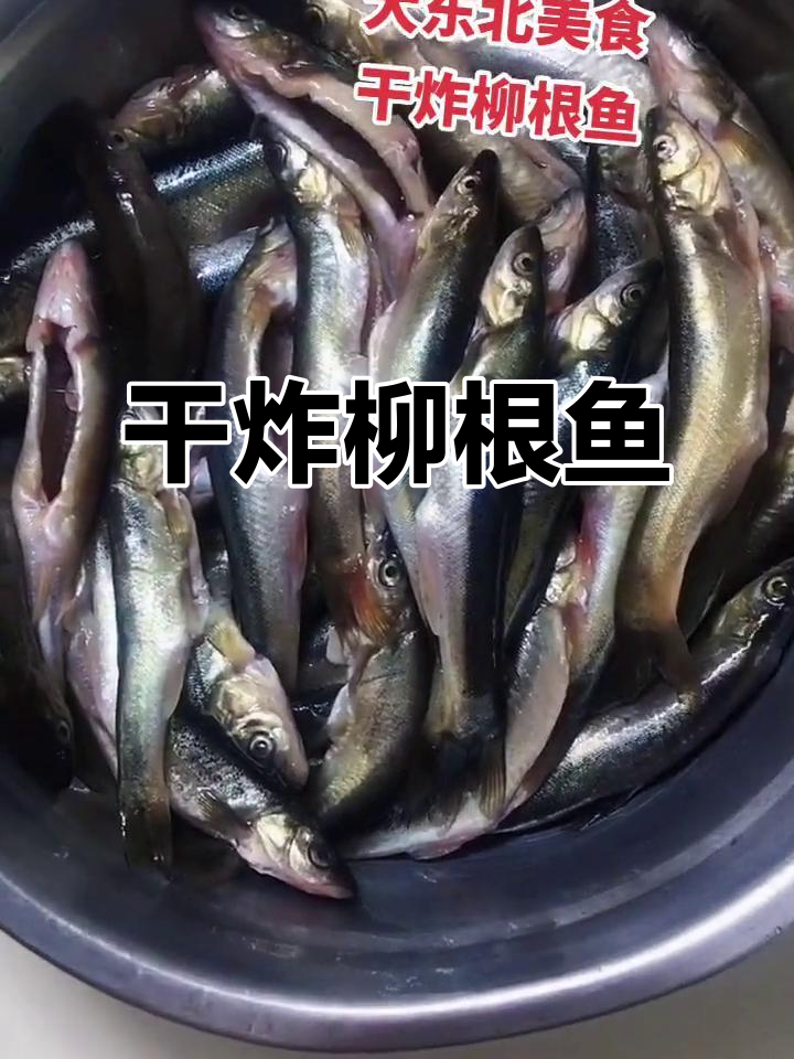 干炸柳根鱼,东北传统美味做法揭秘