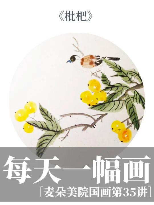 儿童国画 二十四节气水墨国画花鸟枇杷来喽