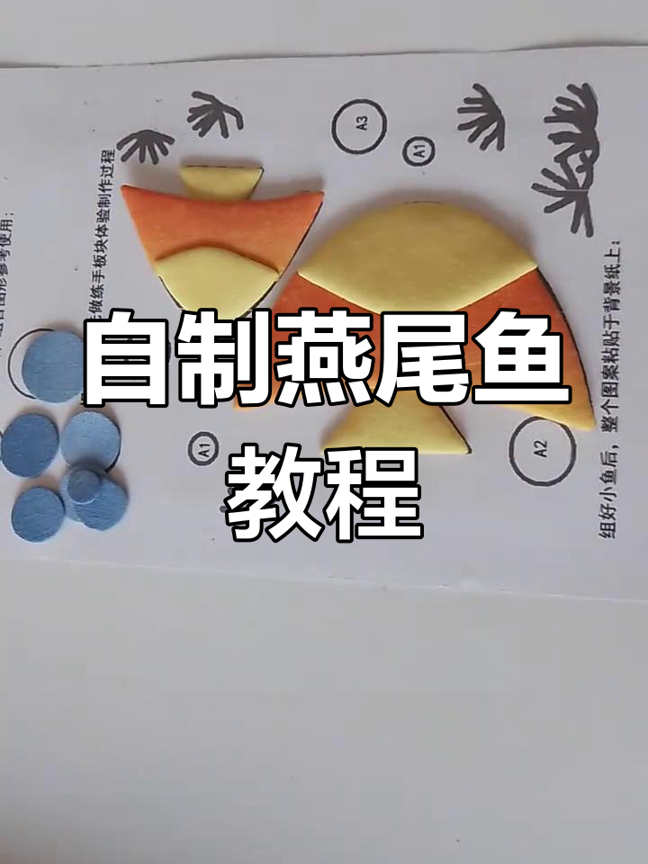 手工DIY燕尾鱼制作:从水泡到眼珠,一步步教你完成