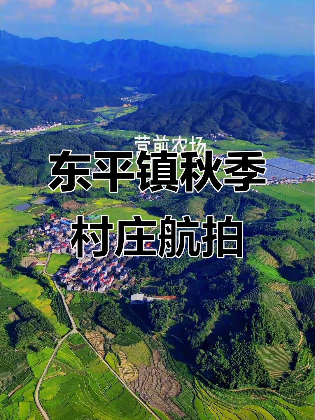 政和东平镇常布村与金峰村的秋日风情,航拍记录乡村美景