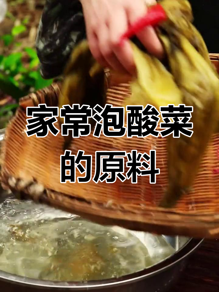 四川泡酸菜用的什么青菜?