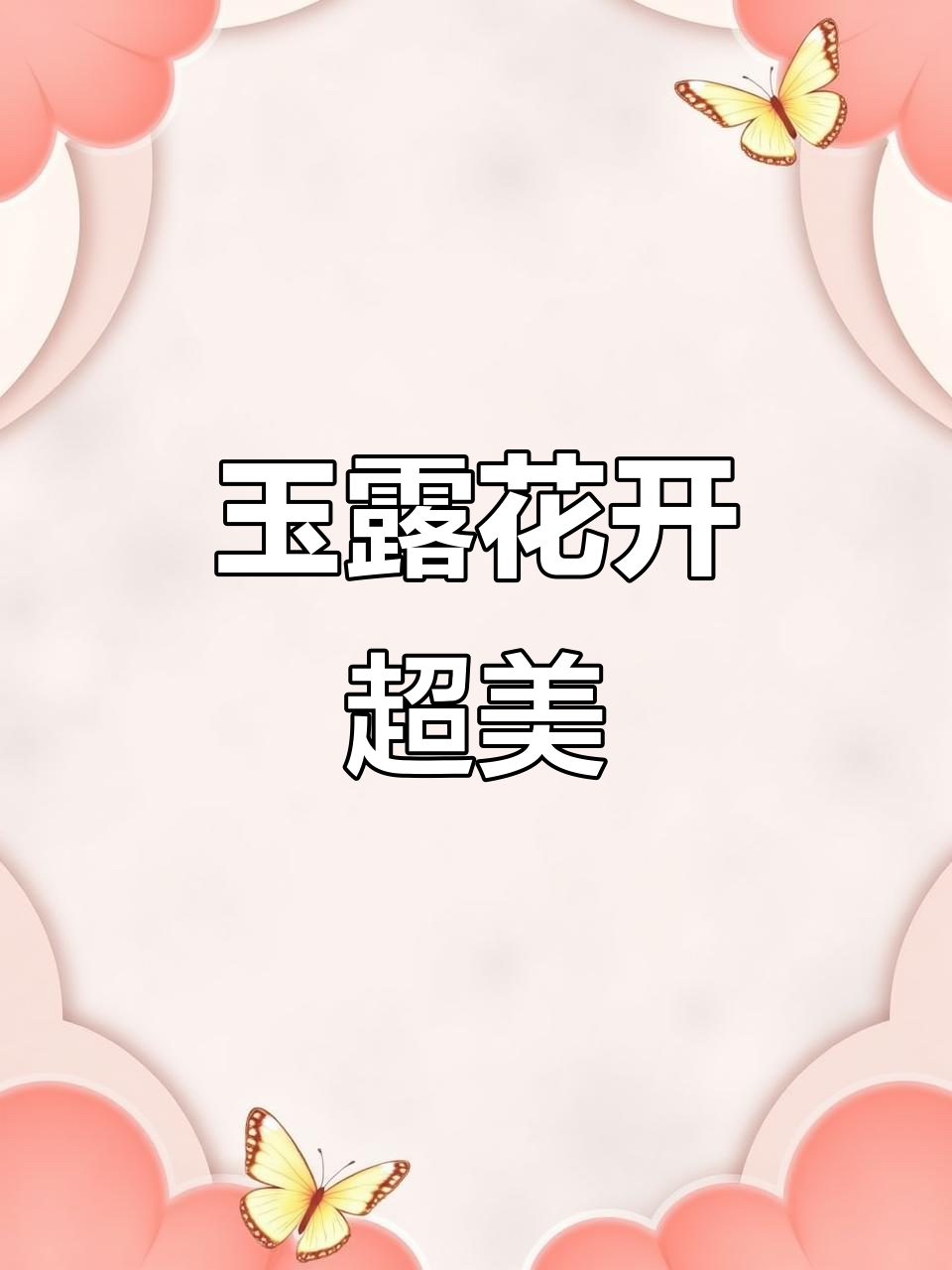 玉露樱水晶开花，太美了！多肉植物治愈生活