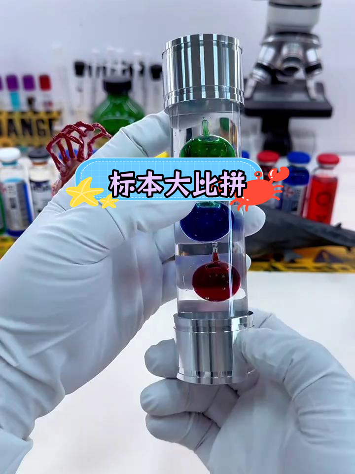 大王乌贼与鲨鱼,谁更强?