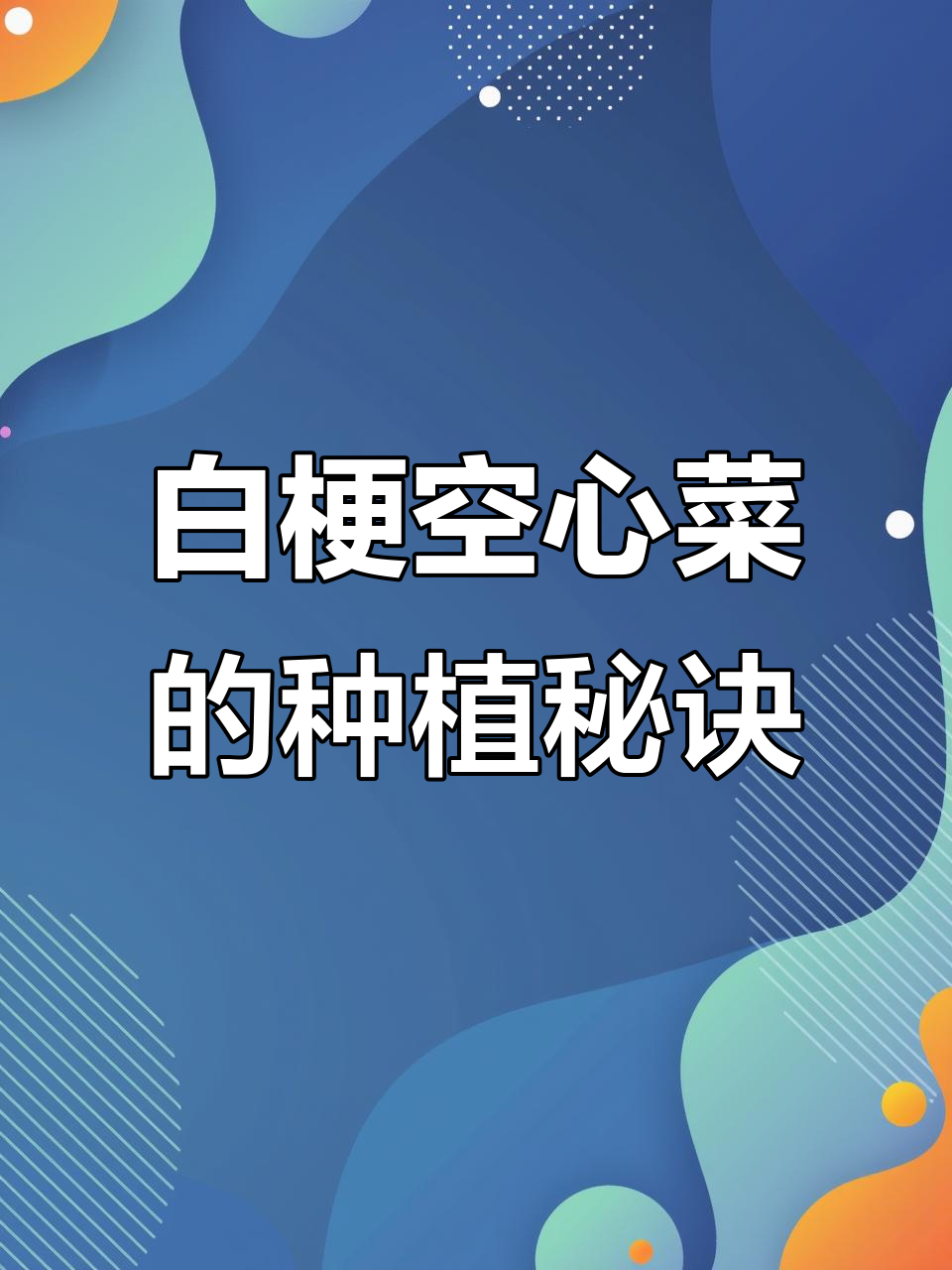 柳叶空心菜,白梗脆嫩又高产