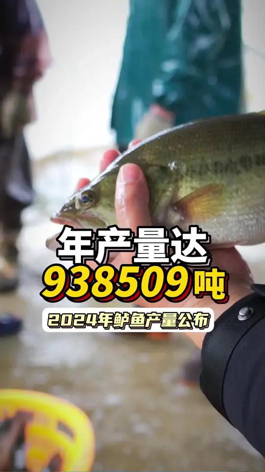 加州鲈鱼年产量已达938509吨!增长率放缓,你还养加州鲈鱼吗