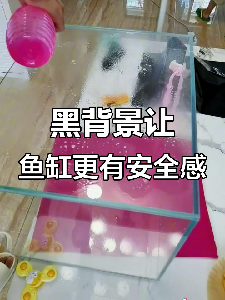 鱼缸贴黑色背景纸,打造自然水底环境,鱼儿更安心