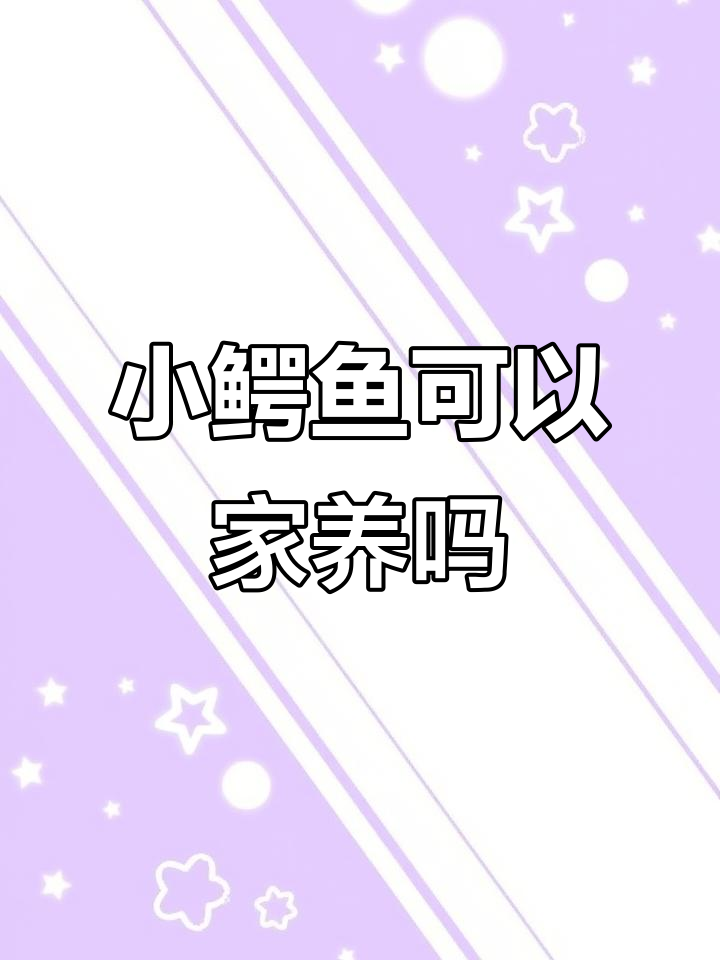 人工养殖小鳄鱼能当宠物吗？驯服技巧大公开