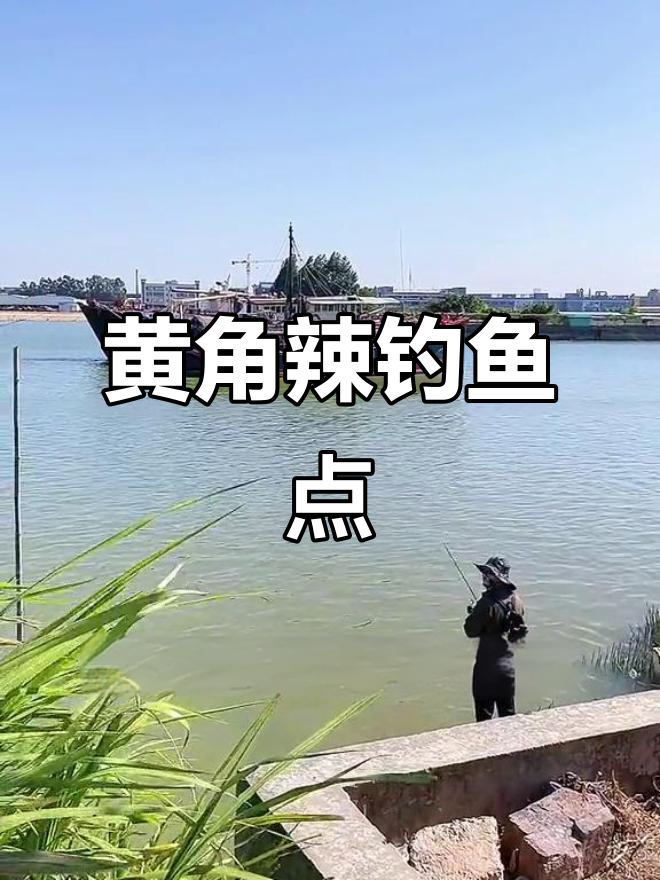 东莞洪乌窝钓黄脚蜡,闸口内外都能玩!