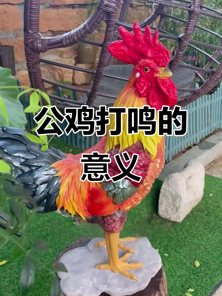 公鸡打鸣背后的深意,你知道吗?