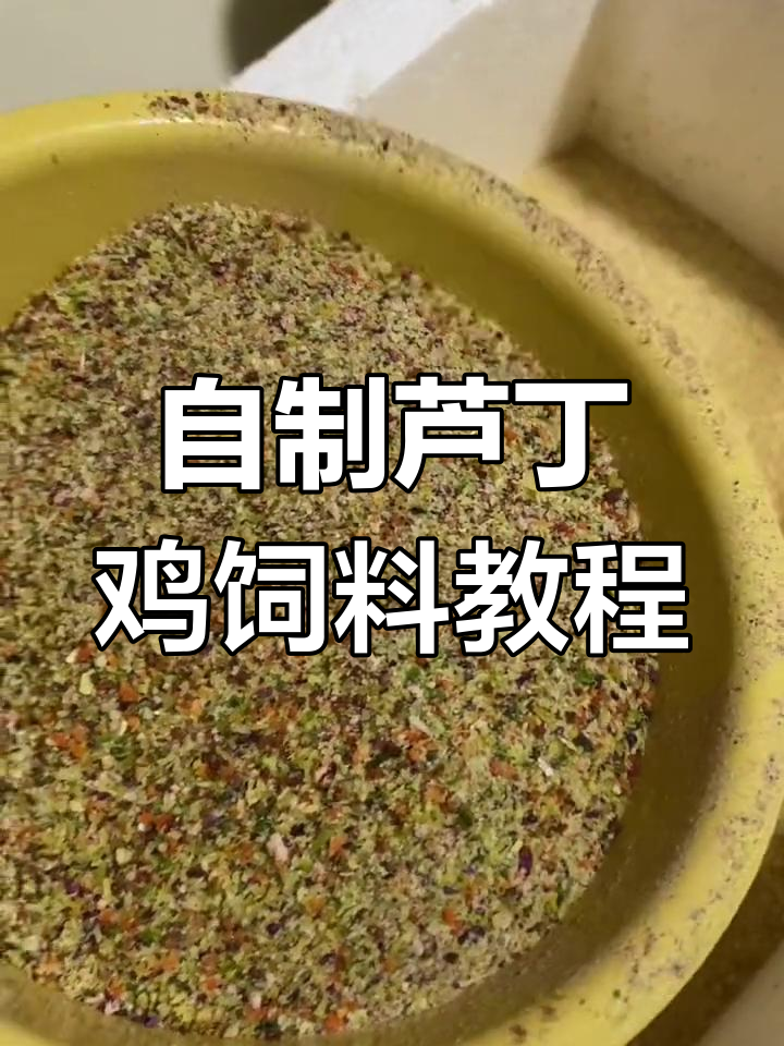 芦丁鸡饲料全攻略:小米、蔬菜搭配更健康