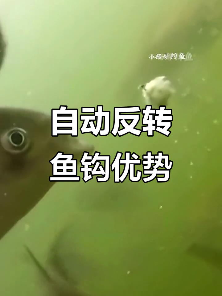 短柄翻转钩与传统鱼钩的差别,轻松刺入不易吐出