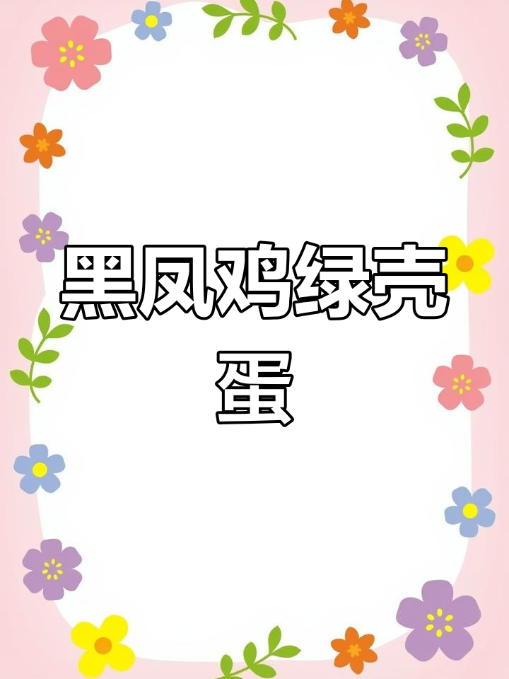 黑凤鸡产蛋,一公五母六只打包带走