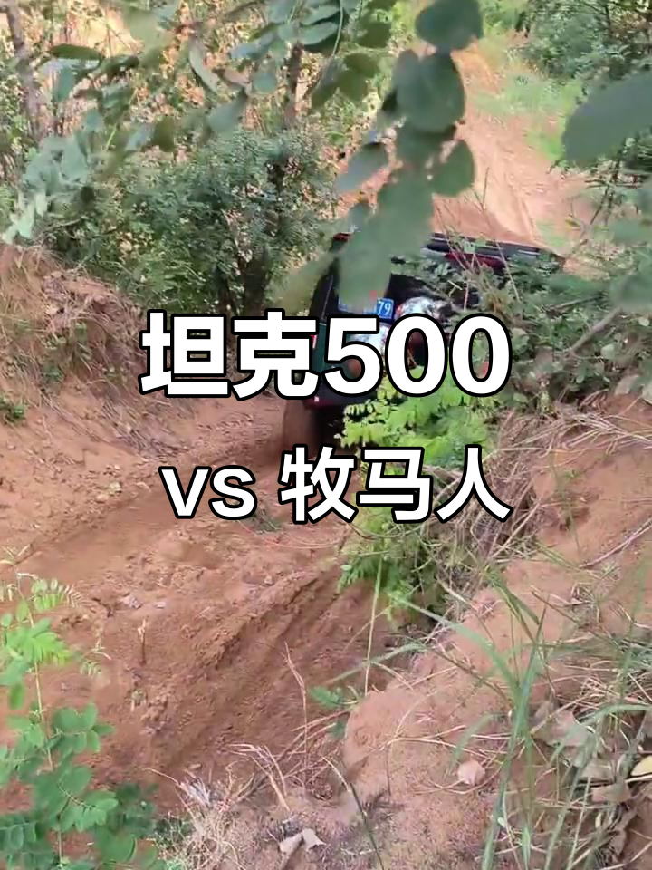 坦克500挑战牧马人,沙地爬坡大比拼!