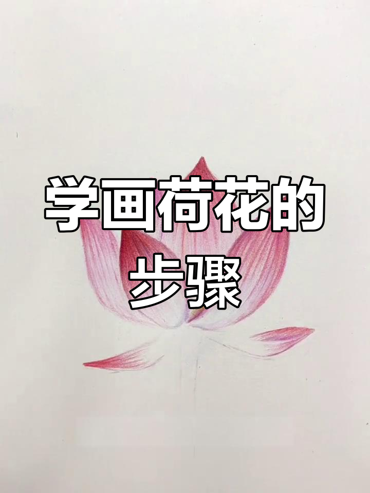 简单荷花绘制技巧,轻松掌握彩铅画