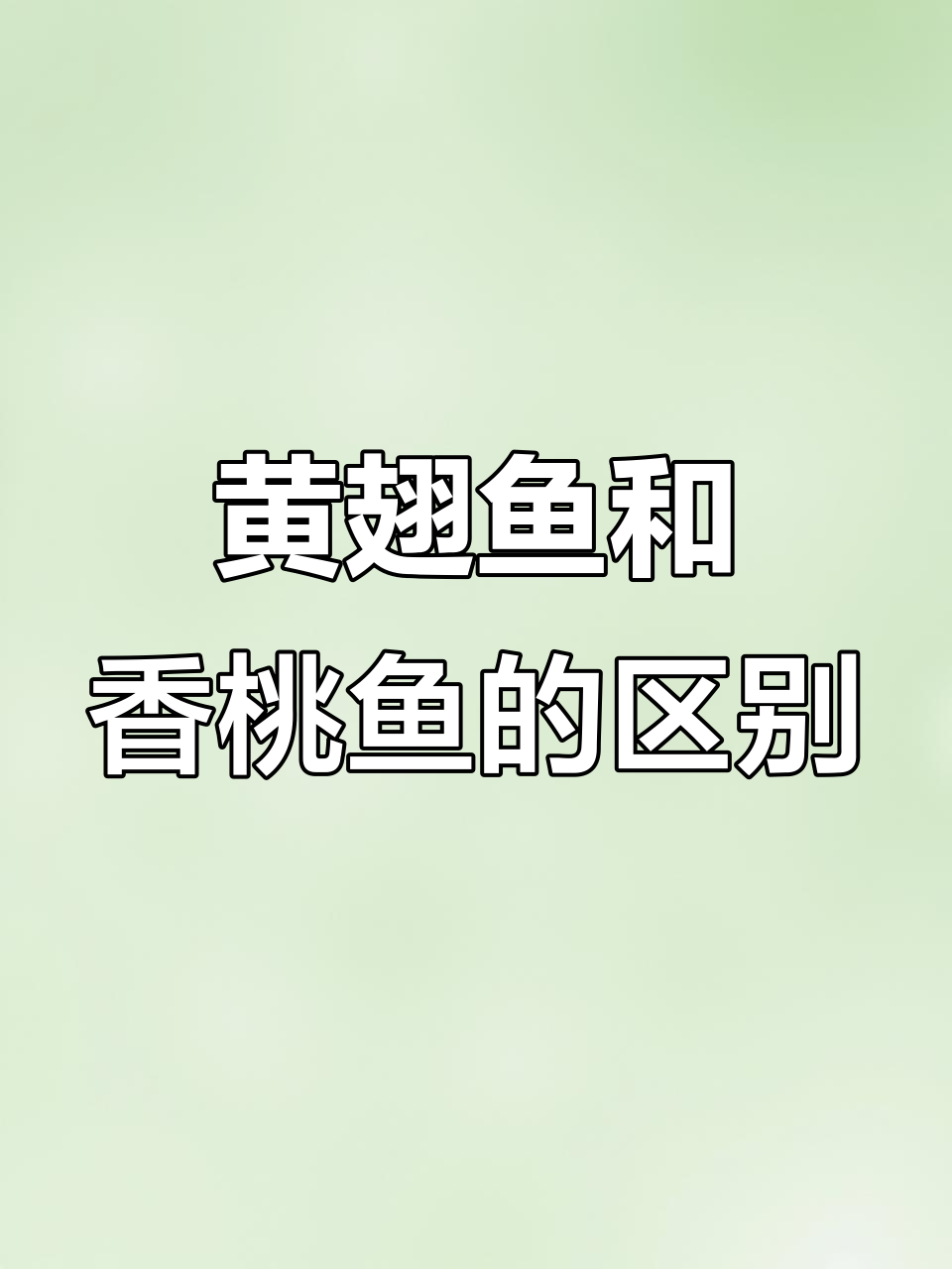 如何区分黄翅鱼与香桃鱼的真相,选错价格差几十元