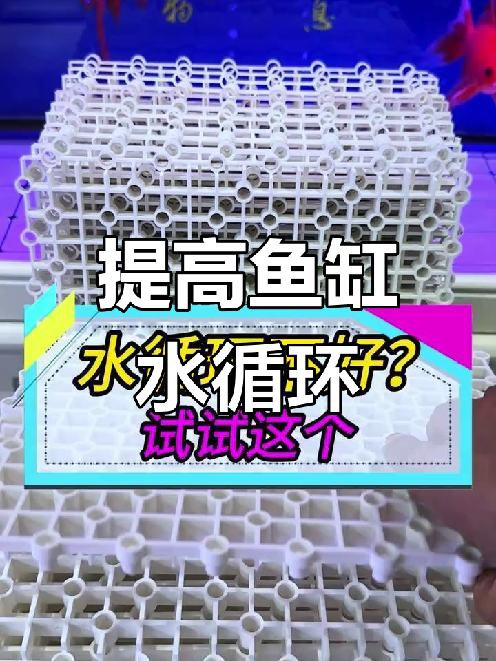 鱼缸水循环不畅?试试这个解决方案