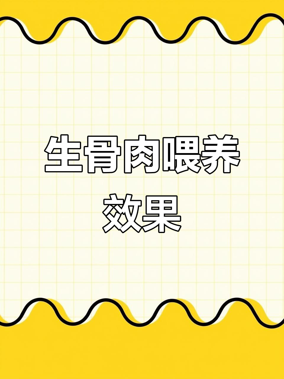 猫咪从猫粮到生骨肉冻干，变化大揭秘