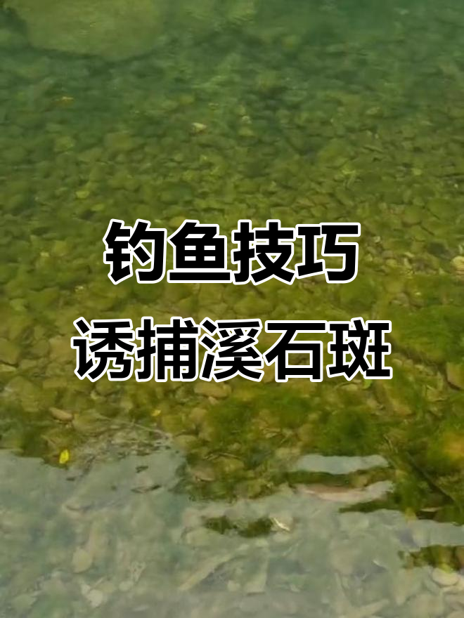 溪石斑鱼钓法大揭秘,如何用窝料吸引鱼儿?