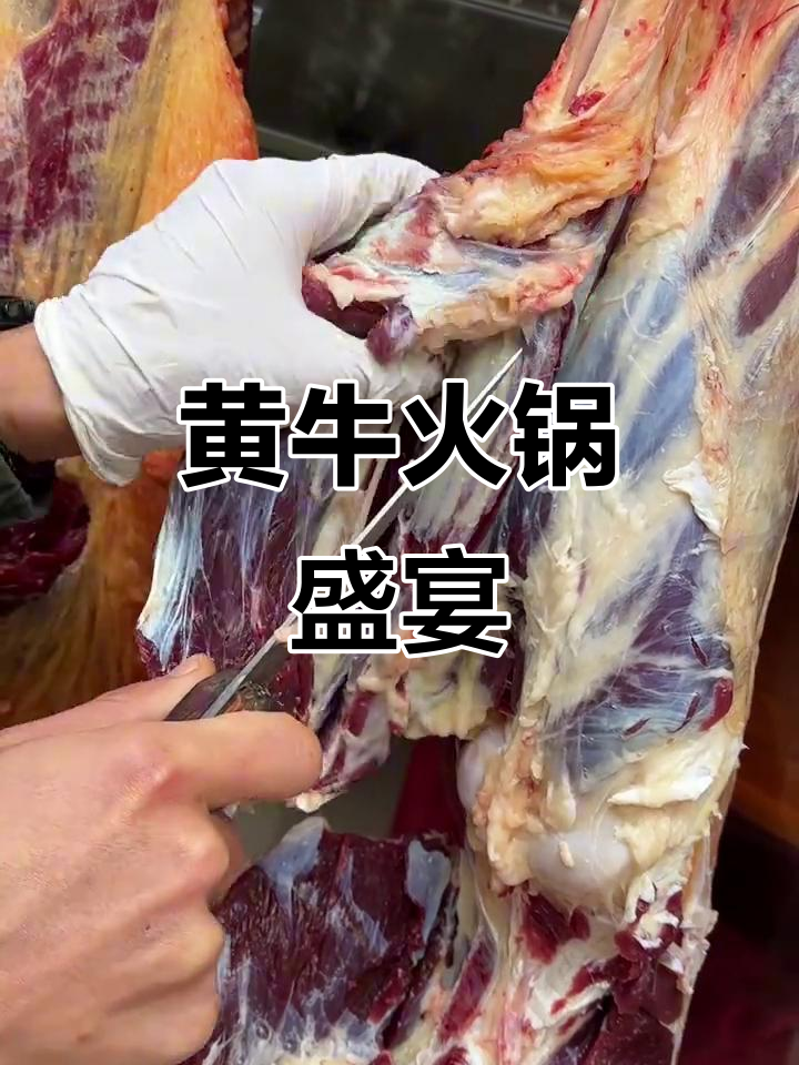 贵州黄牛肉,新鲜一小时,尽享潮汕火锅的极致美味!