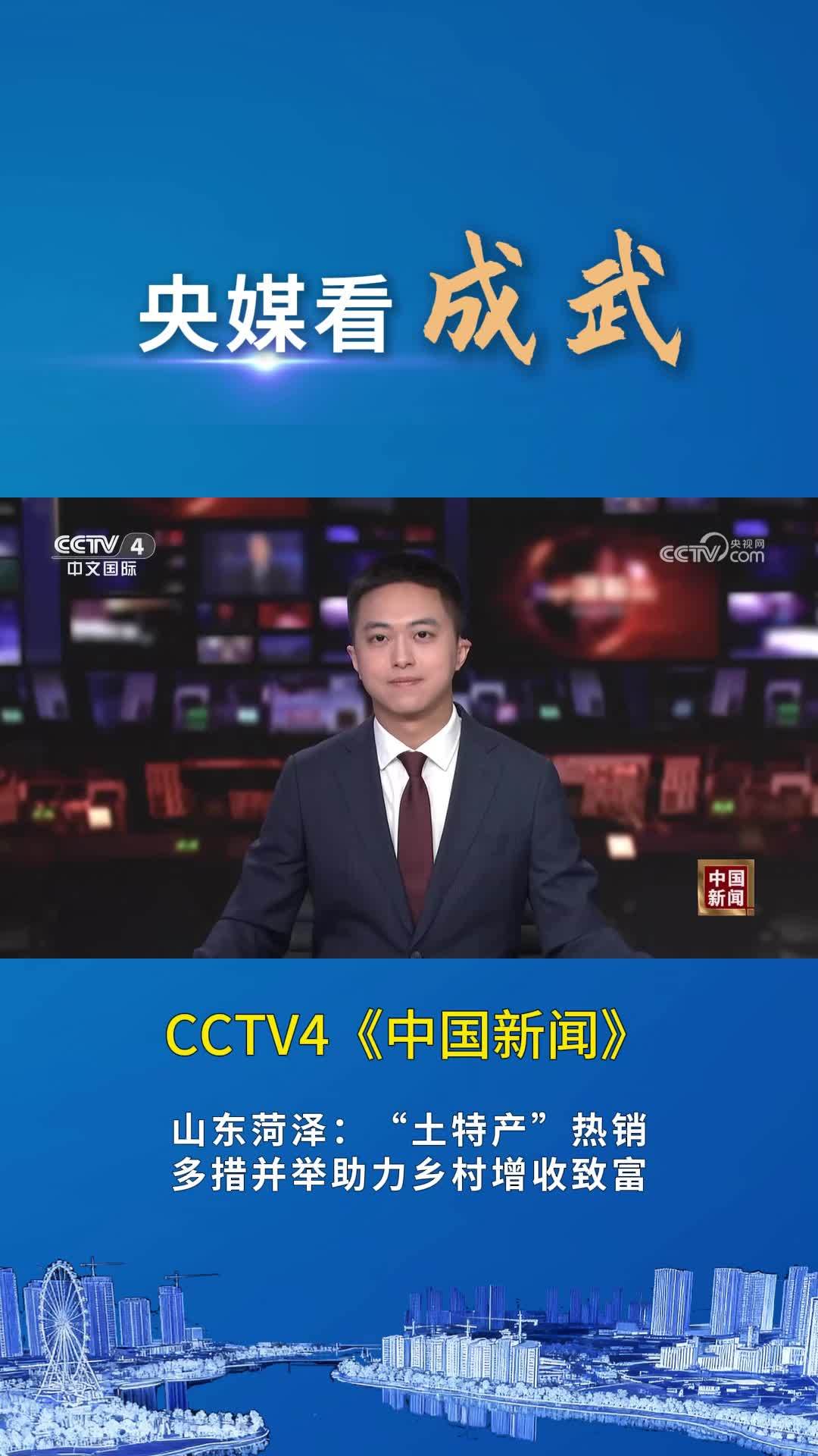 山东成武 新版