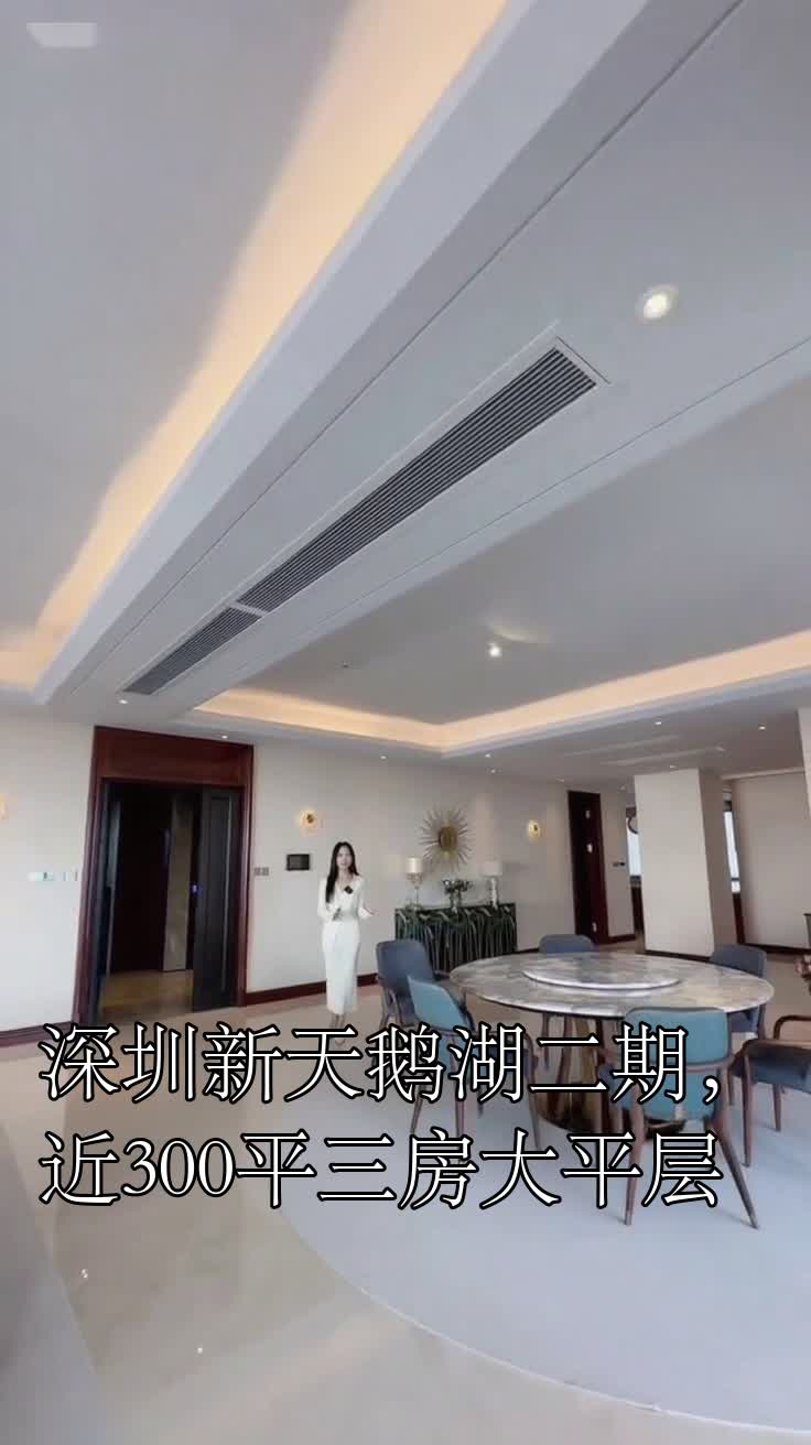 深圳新天鹅湖二期,近300平三房大平层