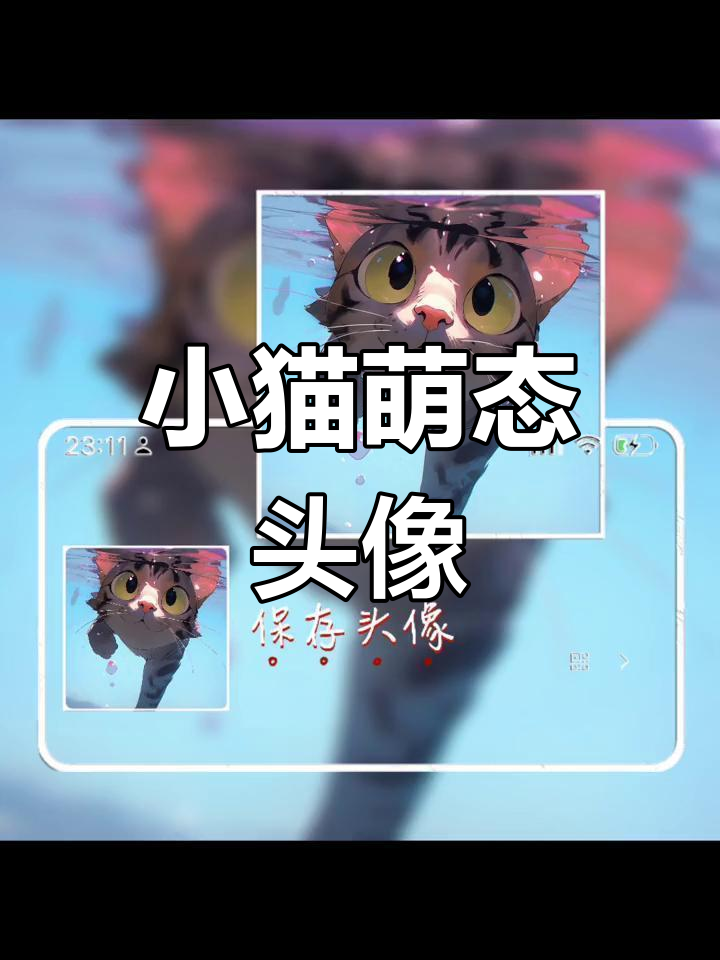 可爱猫咪动漫头像推荐