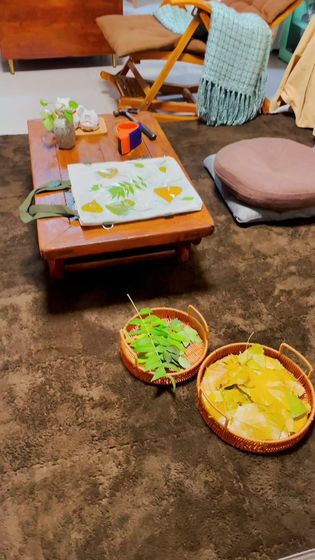 捡来半筐树叶想要拓染下来,把秋天留住,可这世间,本就是春花开秋叶零,寒来暑往,日出日落,人