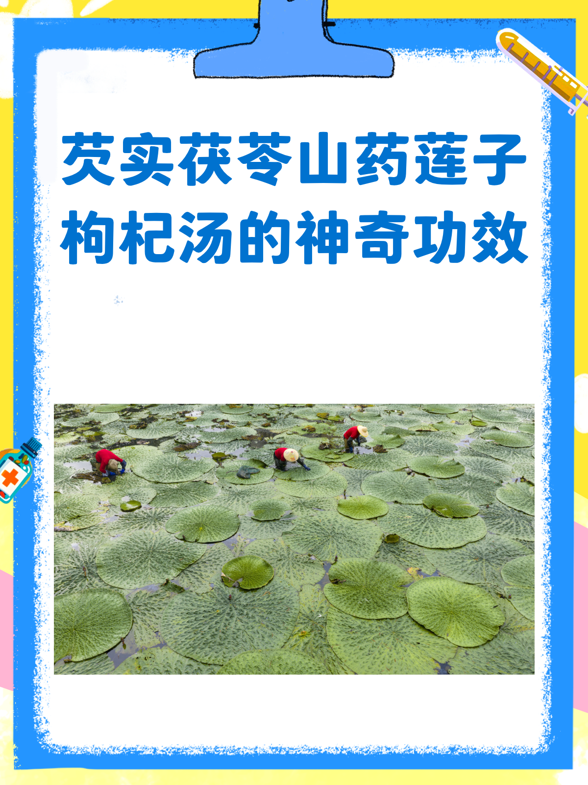 芡实茯苓山药莲子枸杞汤,补肾健脾就靠它!