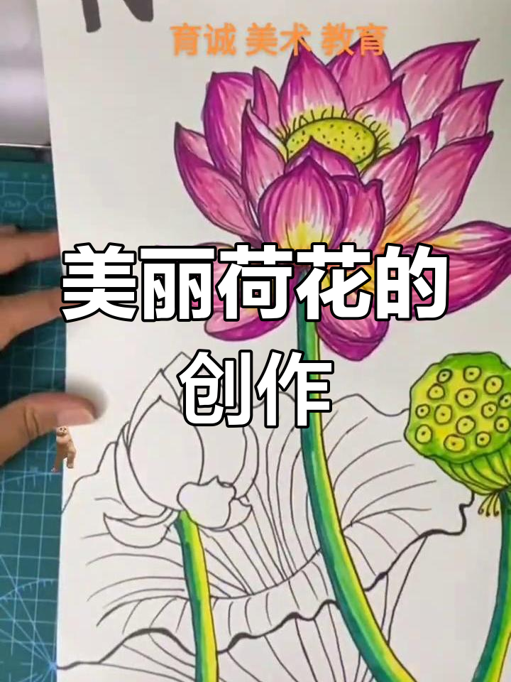 荷花涂色技巧大揭秘,渐变色效果轻松搞定