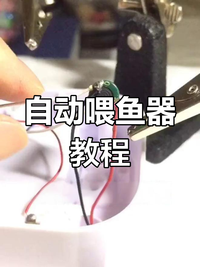 利用闲置闹铃制作自动喂鱼器