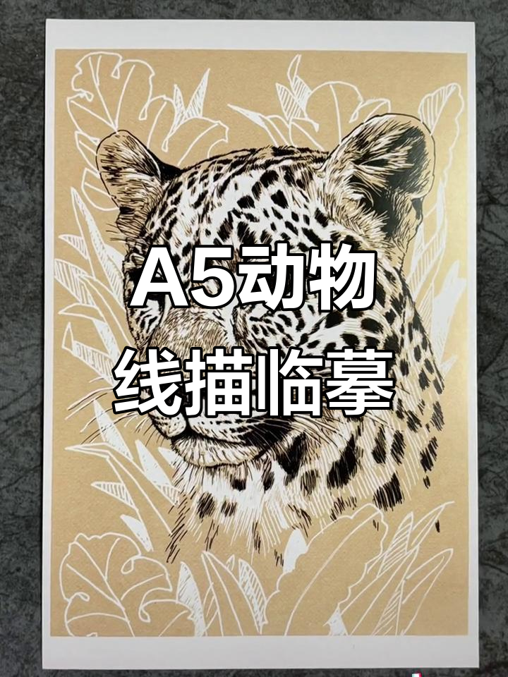 动物线描临摹卡,32张A5尺寸速写卡片