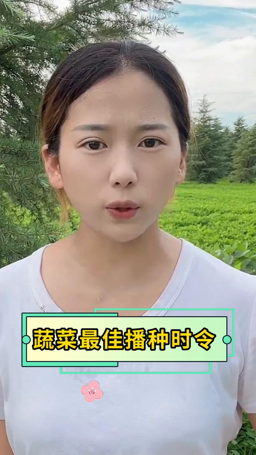 蔬菜最佳播种时令