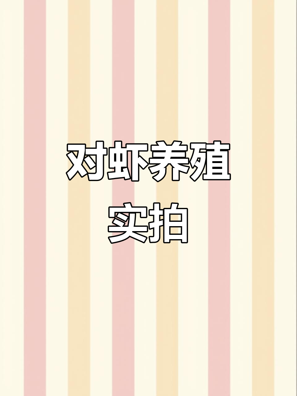 南美白对虾养殖全纪录：池塘、投苗与收获全过程