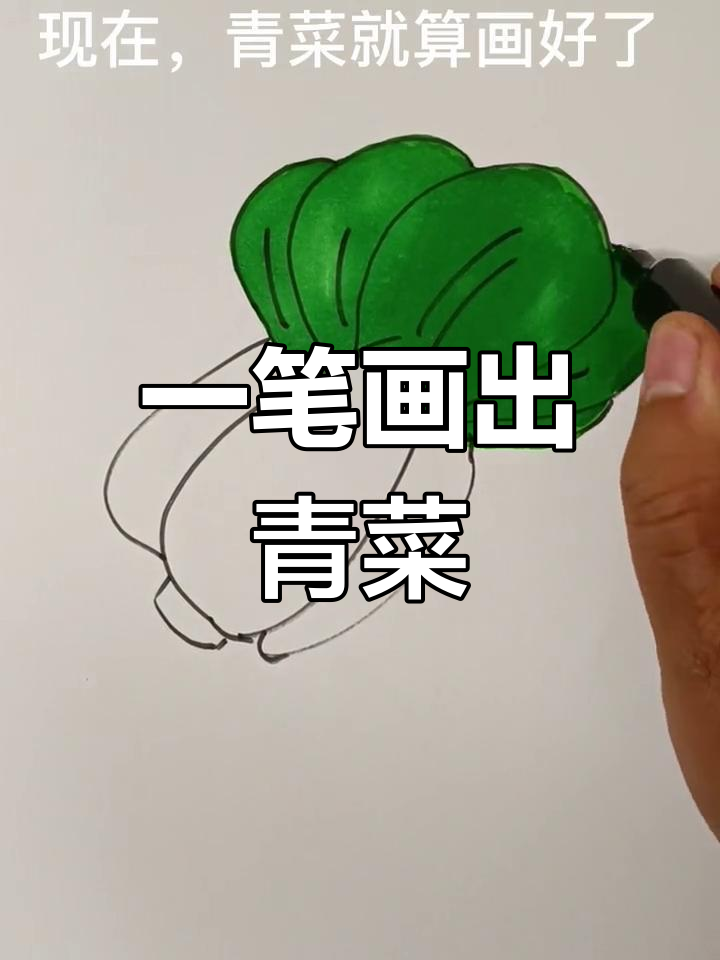 简单几步画出大青菜
