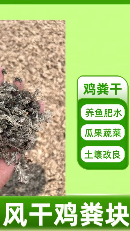 盐碱地块上干鸡粪能行吗?