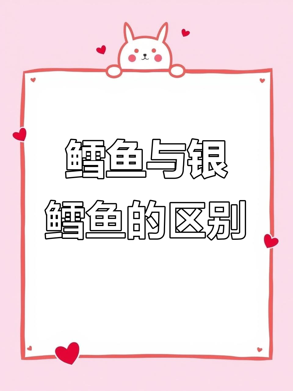 鳕鱼和银鳕鱼的差别,竟然这么大!