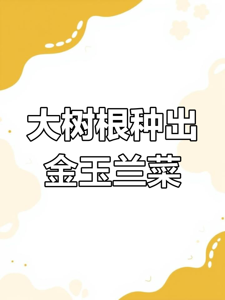 只需将大树根插入土中,满月就能吃到欧洲贵族蔬菜金玉兰菜