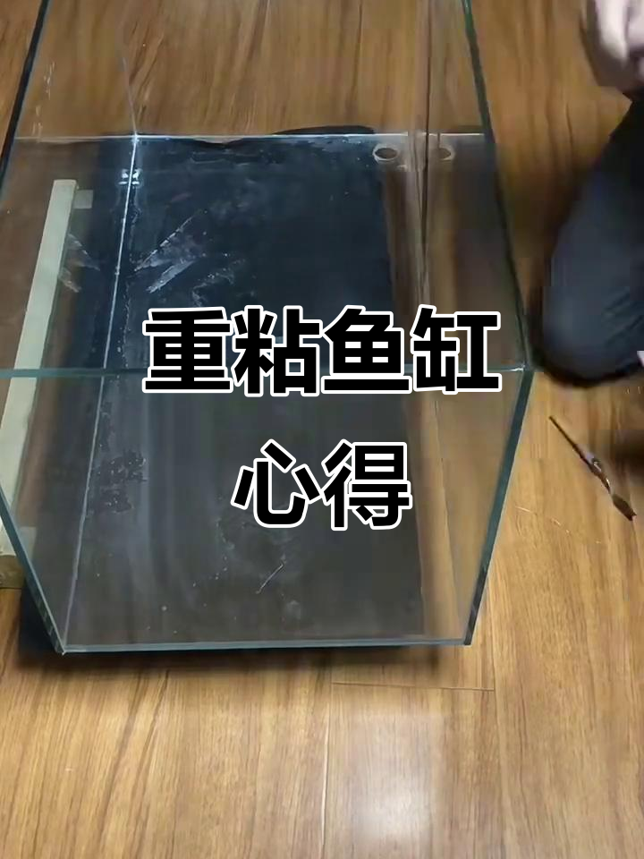 鱼缸漏水,拆了重粘!有经验的来支招,胶水到了就动手