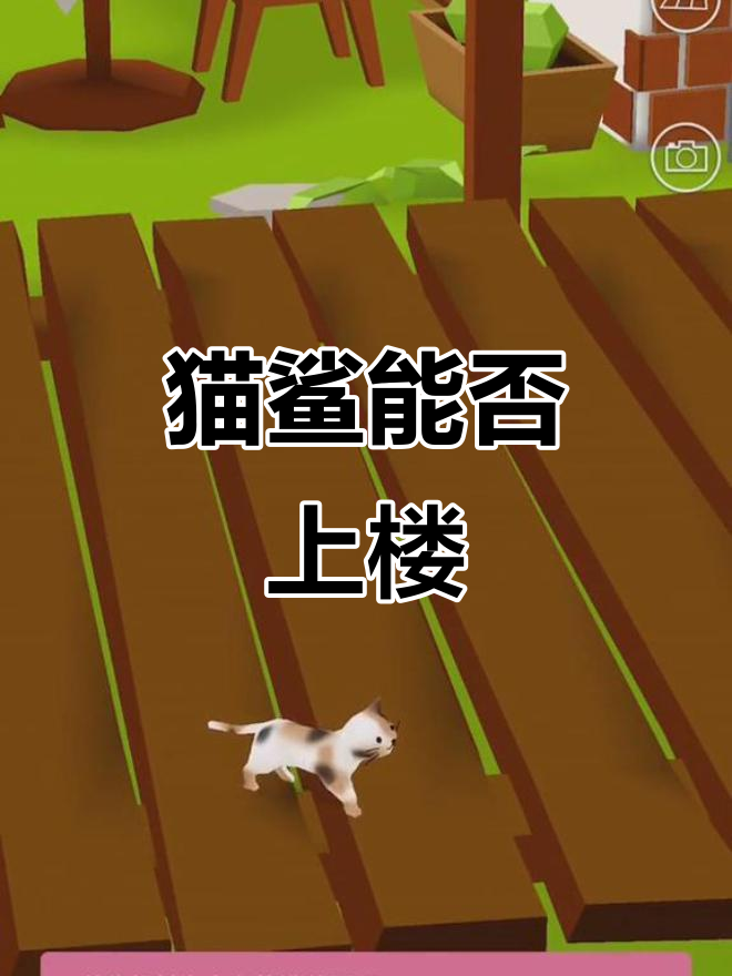 猫和鲨鱼能住二楼吗?