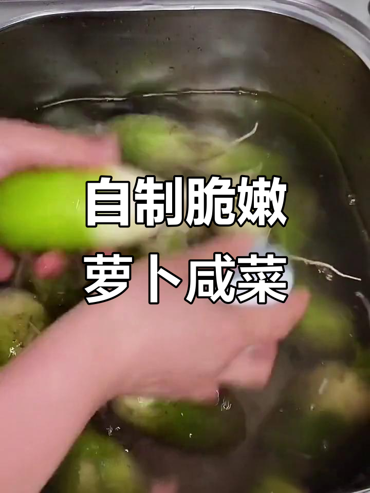 秋季腌萝卜咸菜,简单又美味,教你如何做不坏的泡菜