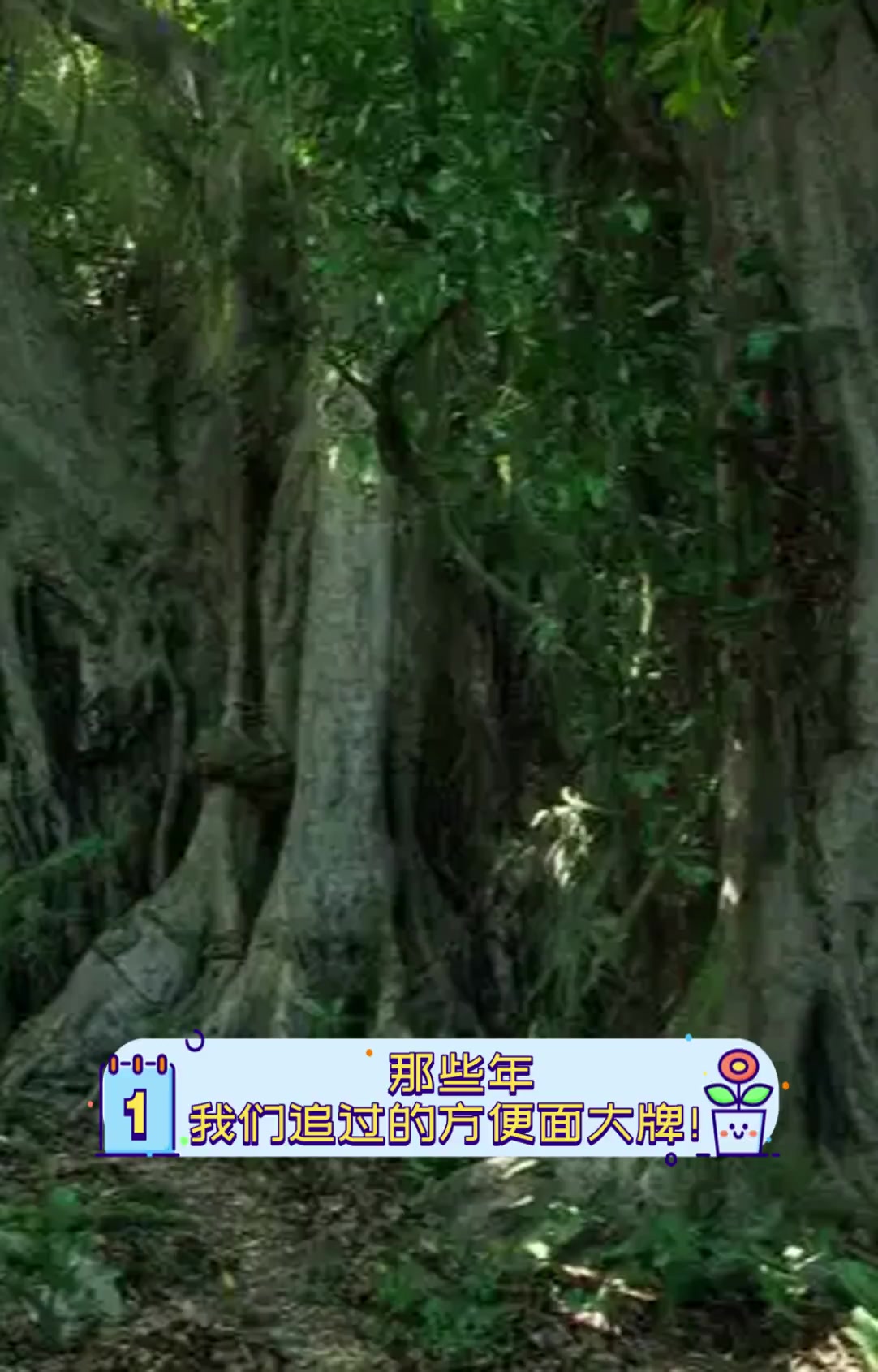 那些年,我们追过的方便面大牌!
