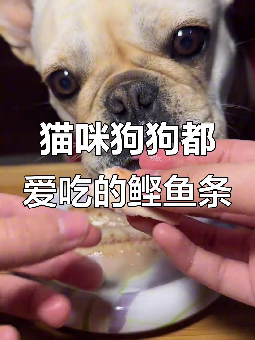 鲣鱼条,营养又美味!适合2个月以上猫狗食用