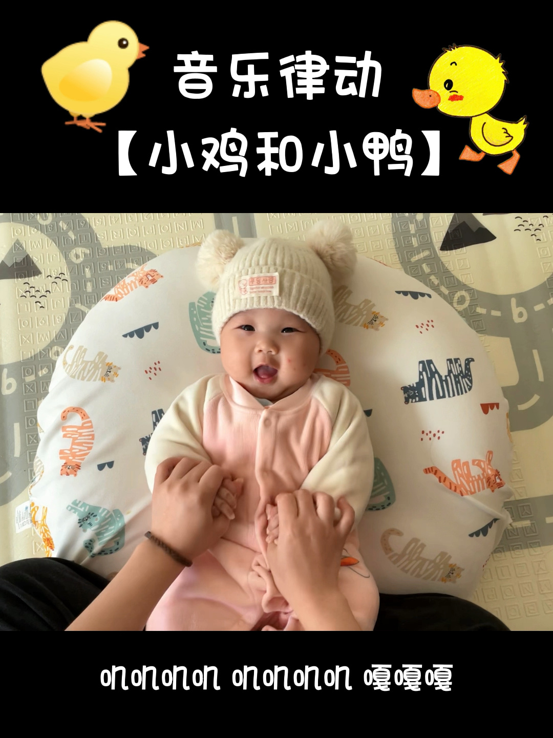 音乐律动-小鸡和小鸭