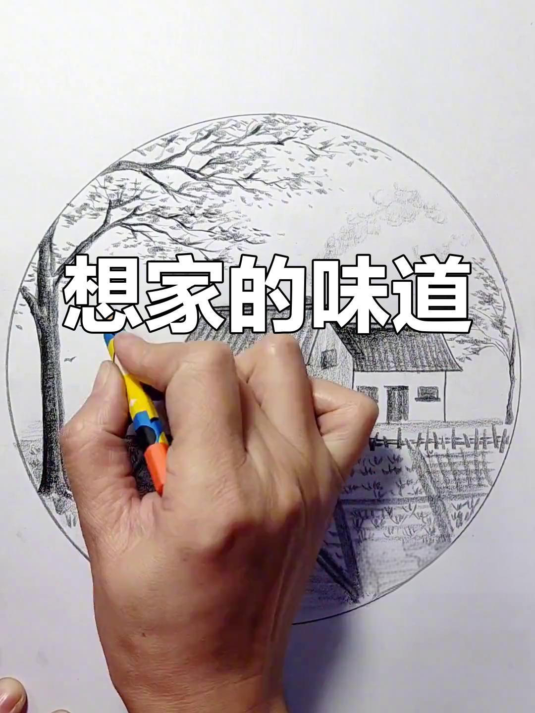 家乡红枣树与老屋的记忆,离开家才发现的温暖