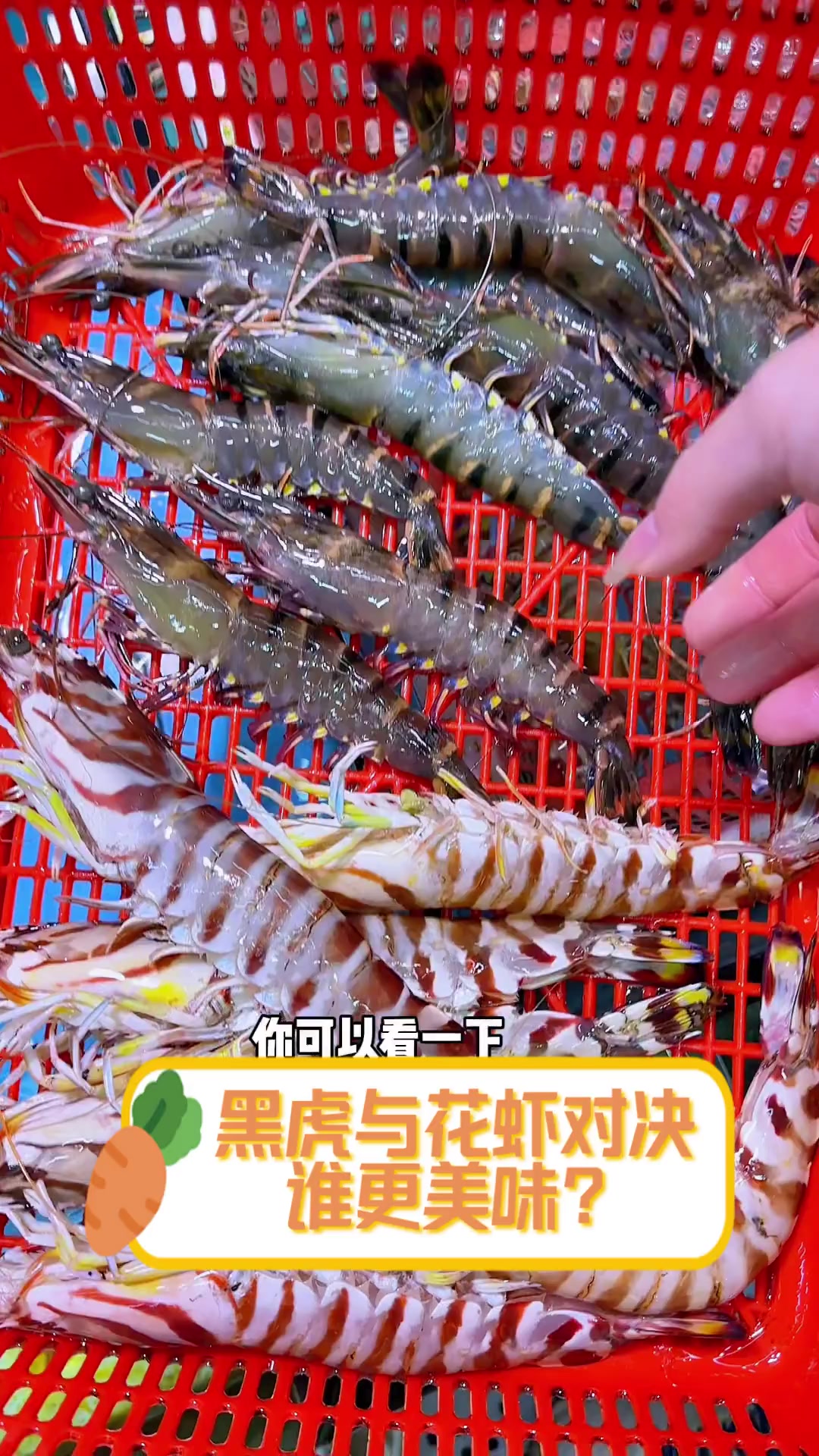 黑虎与花虾对决,谁更美味?