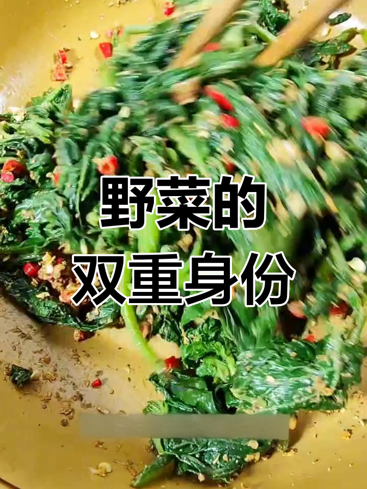 农村常见野菜,竟是药材!南瓜籽拌着吃,你试过吗?