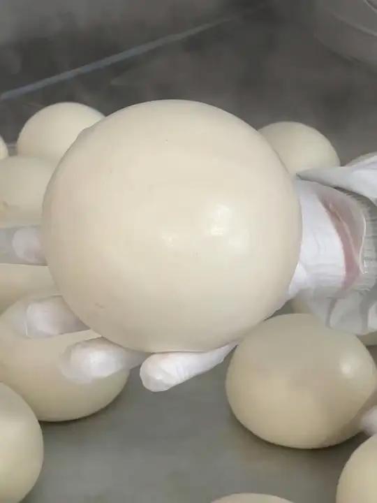 热气腾腾的王哥庄大馒头出锅啦