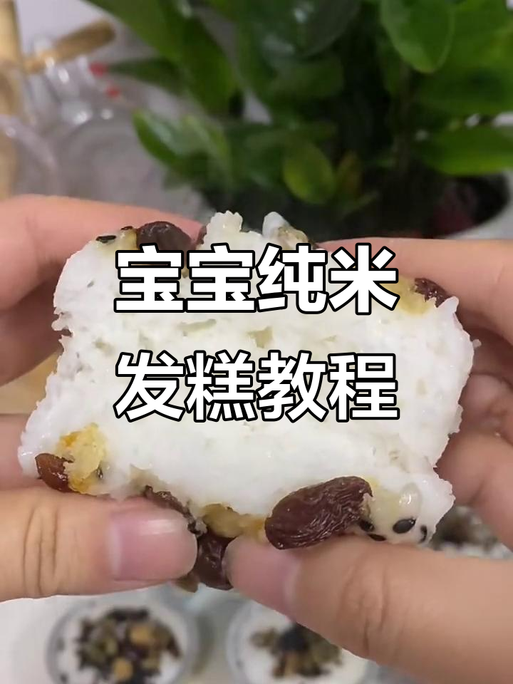 无面粉无牛奶，宝宝版大米发糕轻松做